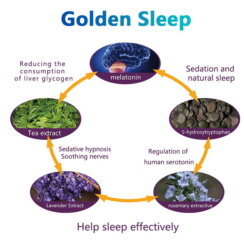 【Recomendado por nutricionistas estadounidenses】Tabletas Golden Sleep: contienen melatonina, L-teanina y 5-HTP para promover un sueño reparador, reducir el estrés y mantener un estilo de vida saludable. 